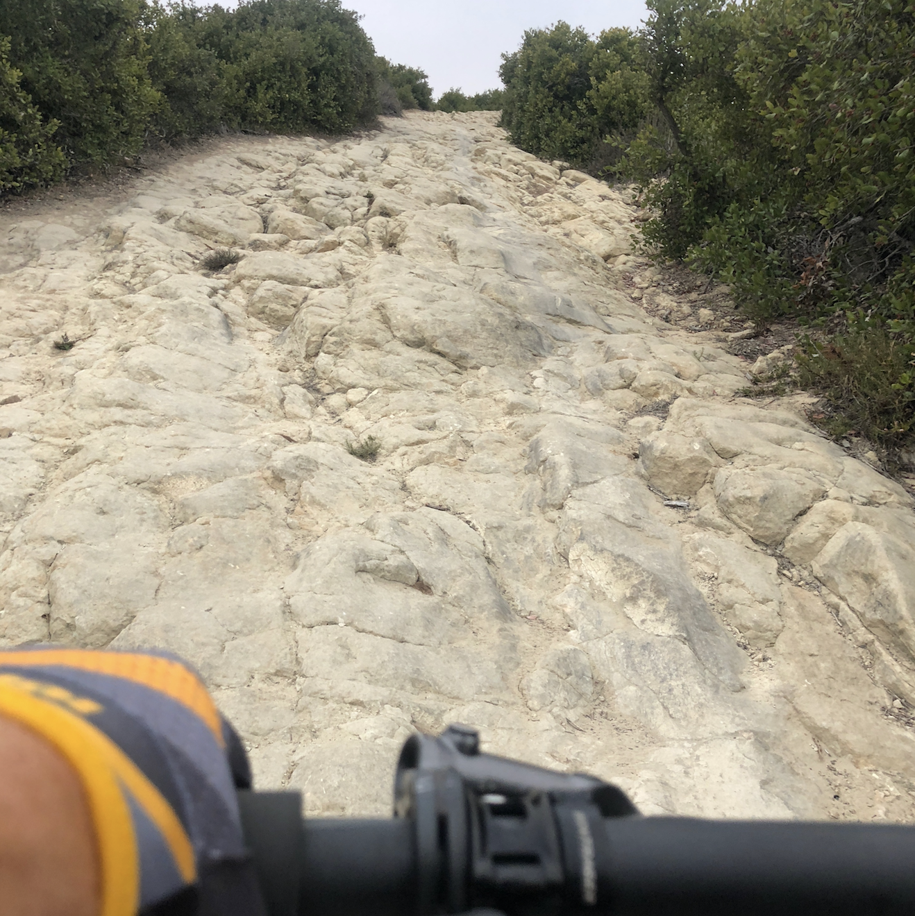 THE FIRST TIME EVER I SAW HORST'S FACE