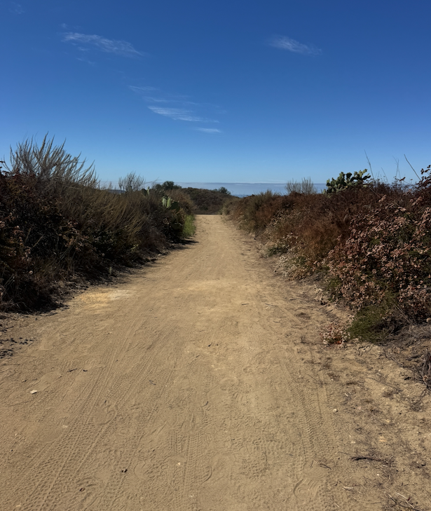 ARE YOU SHADOW BOXING... ENOUGH?