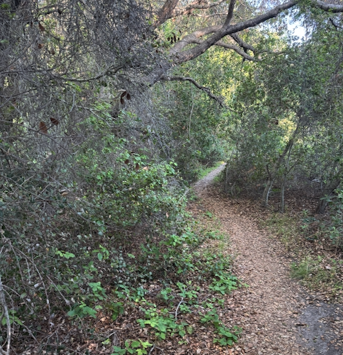 I HAD NO IDEA HOW WEAK I WAS, UNTIL...