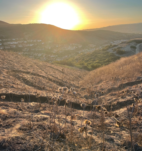 WHAT DO I IF I RACK MYSELF?