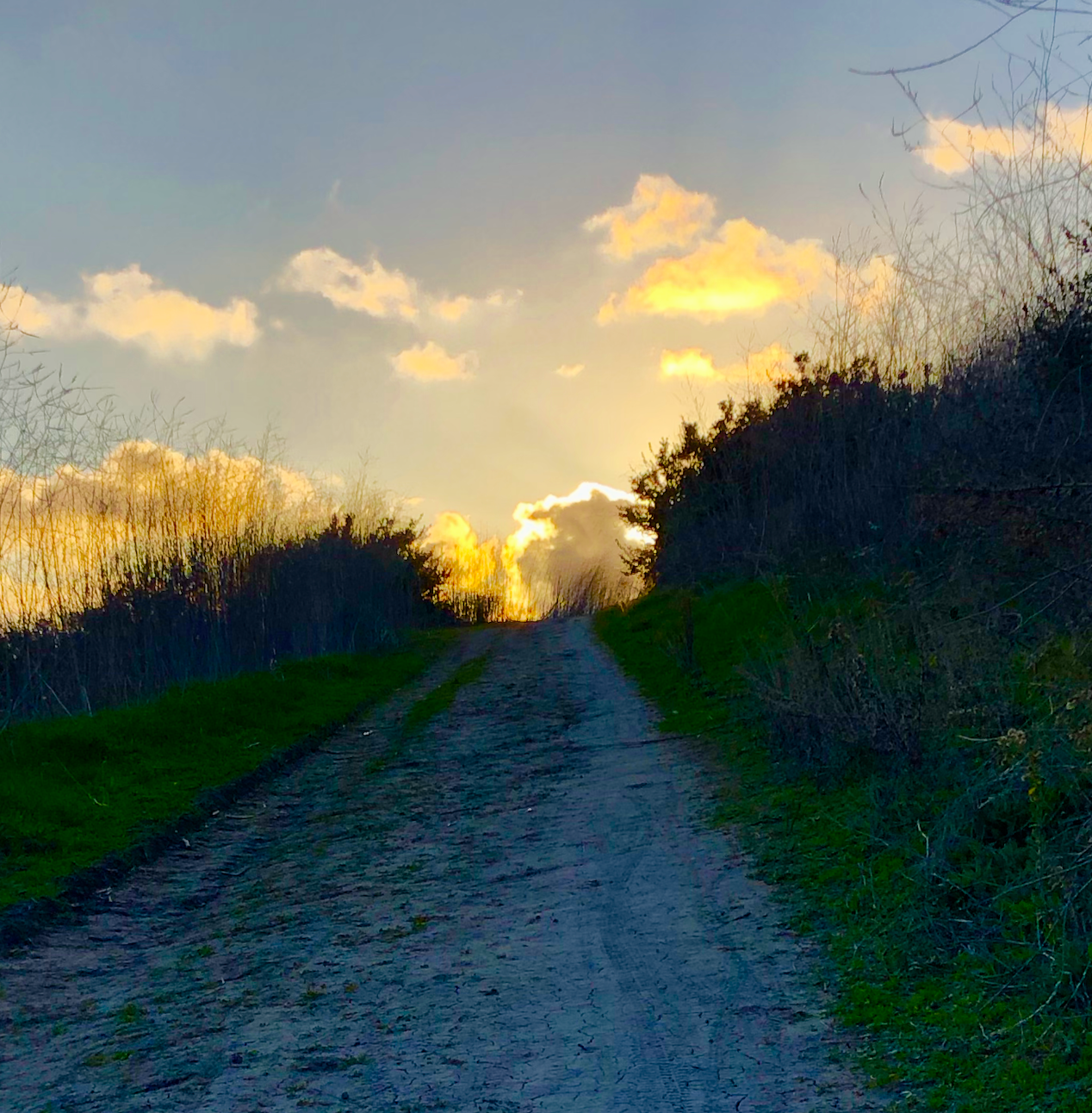 NORMALPEOPLE SATURDAY?