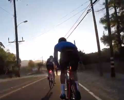 WHY DID THE CHICKEN BREAKAWAY? - sponsored by Knog