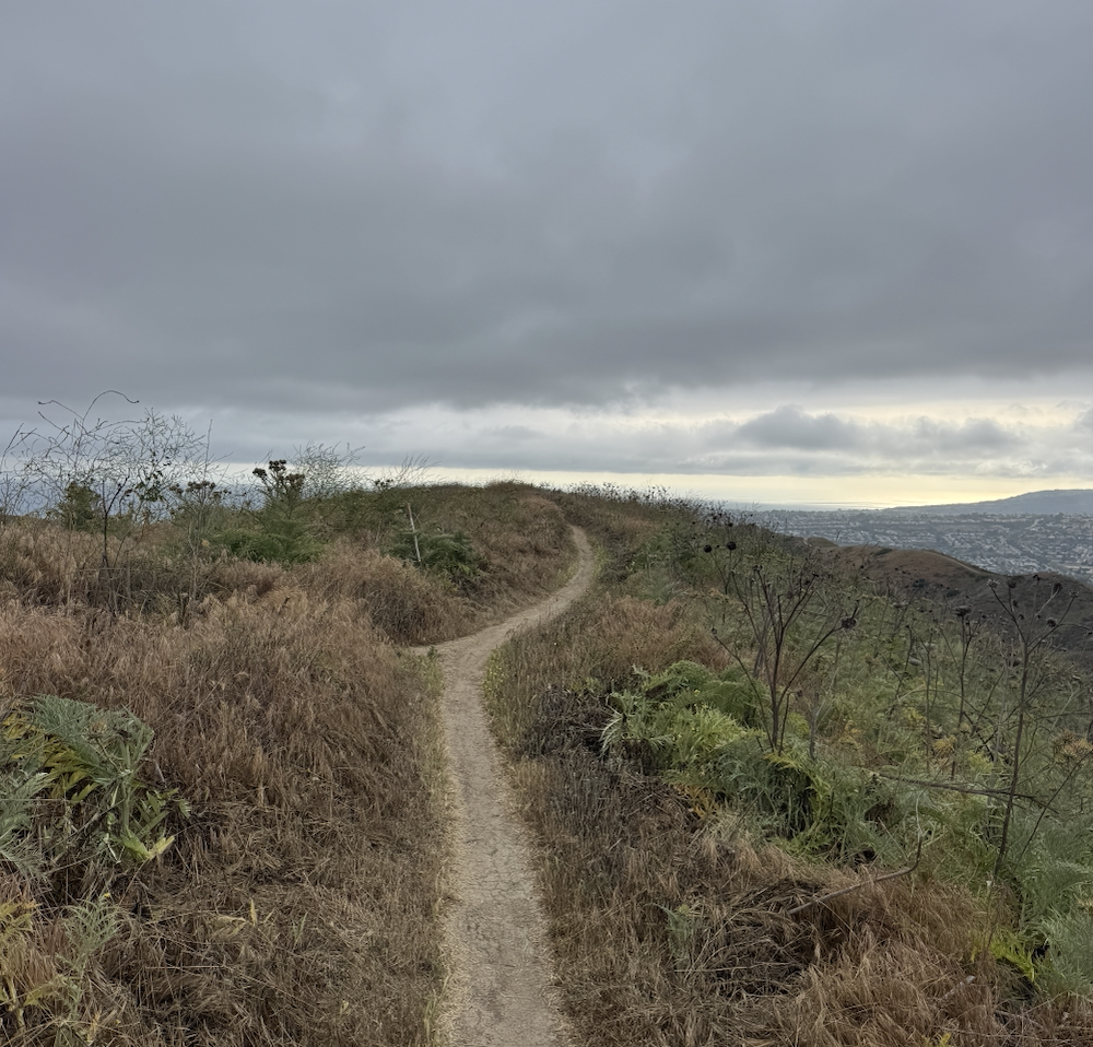 SENSOR ME THAT, APPMAN