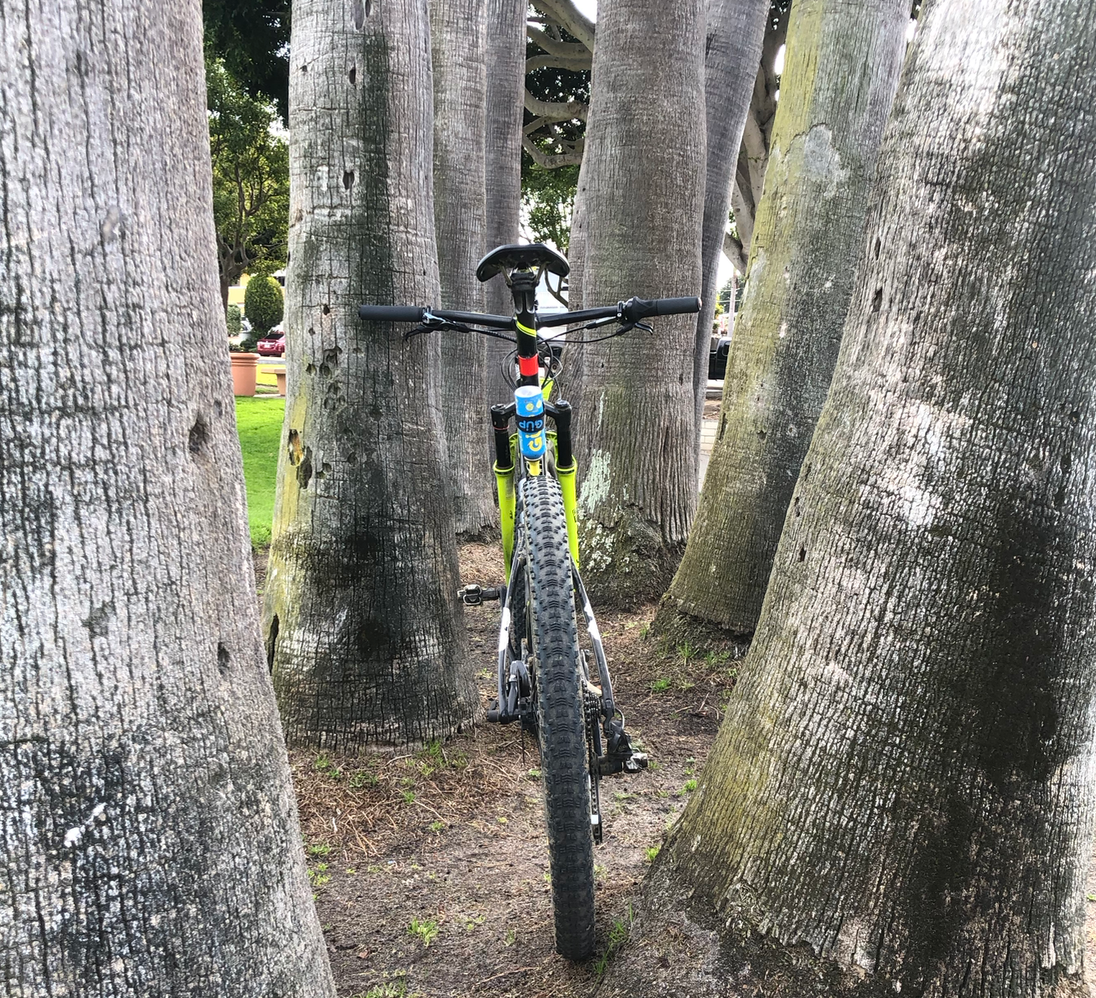 BY NOW MOST PEOPLE HAVE GIVEN UP