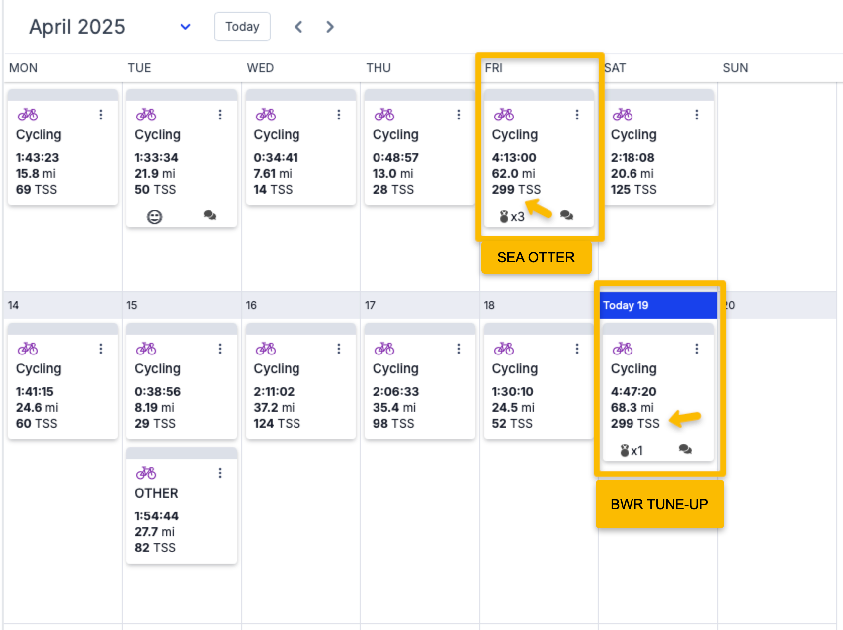 WHY WE NEED TO BE FAST FRIENDS