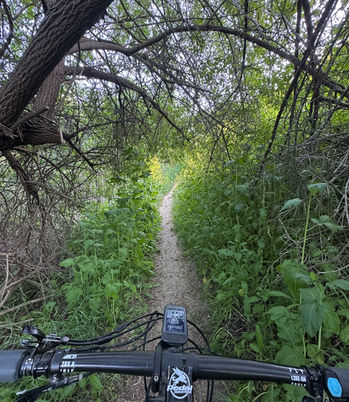 THE CHALLENGE OF GOING TOO FAST