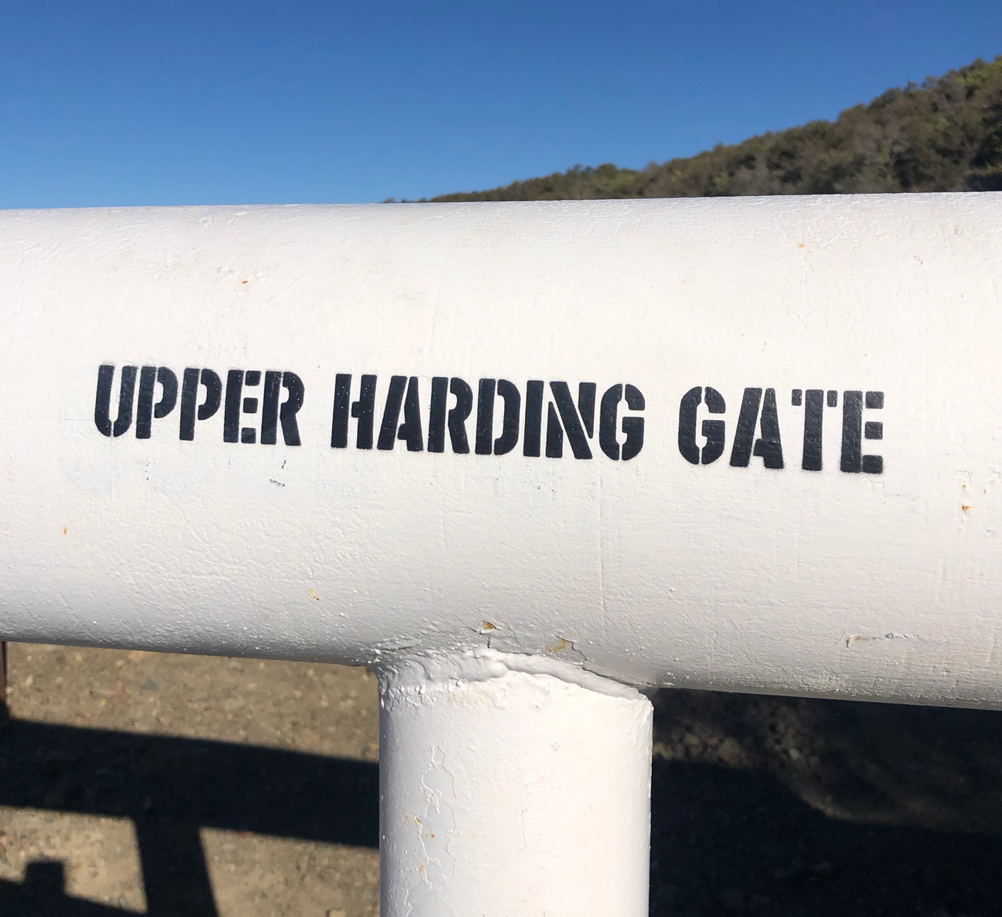 'IM N 'IS BIKE ARE MOUNTAINBRED