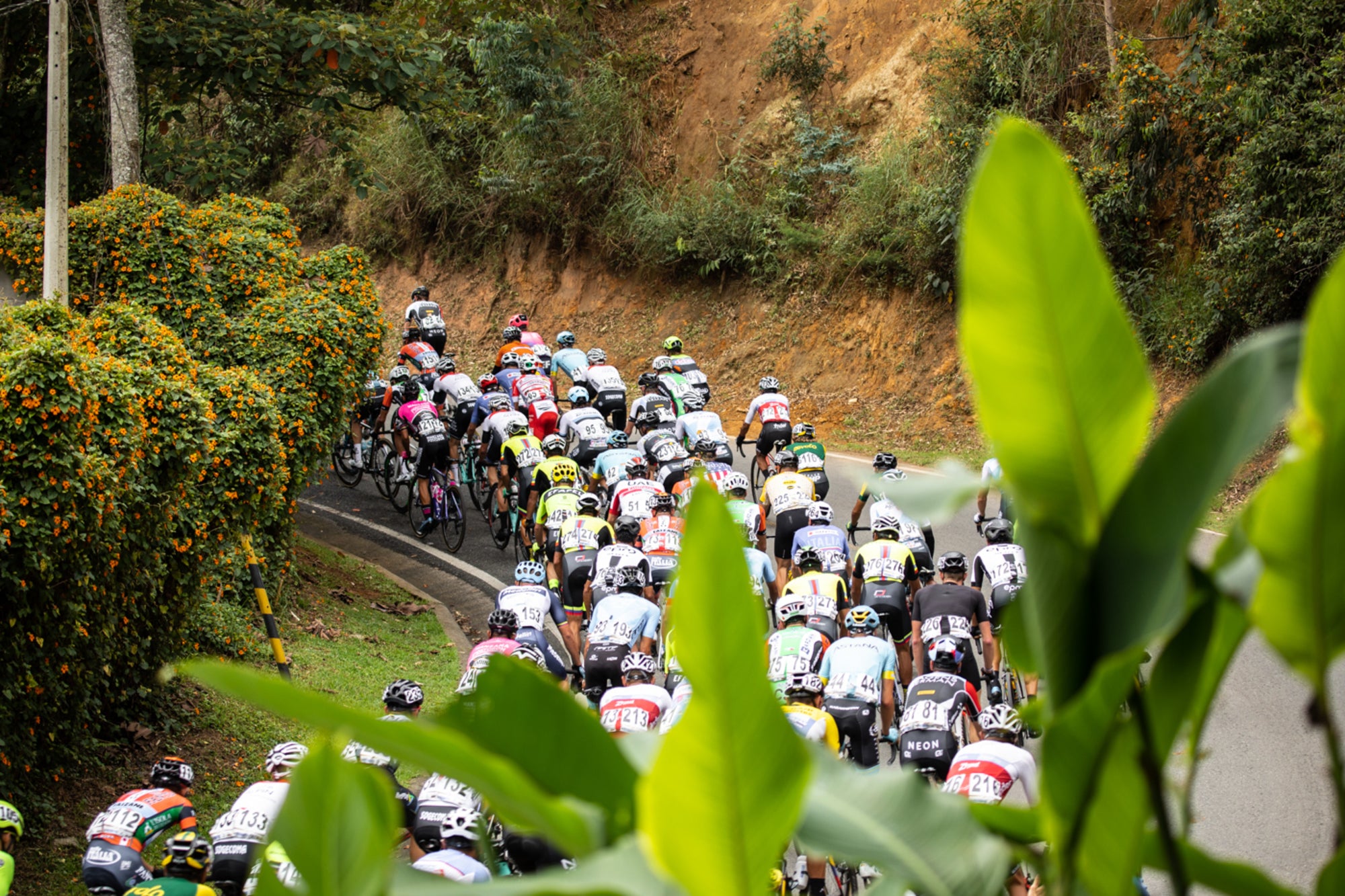 Aevolo Cycling and Pedal Industries