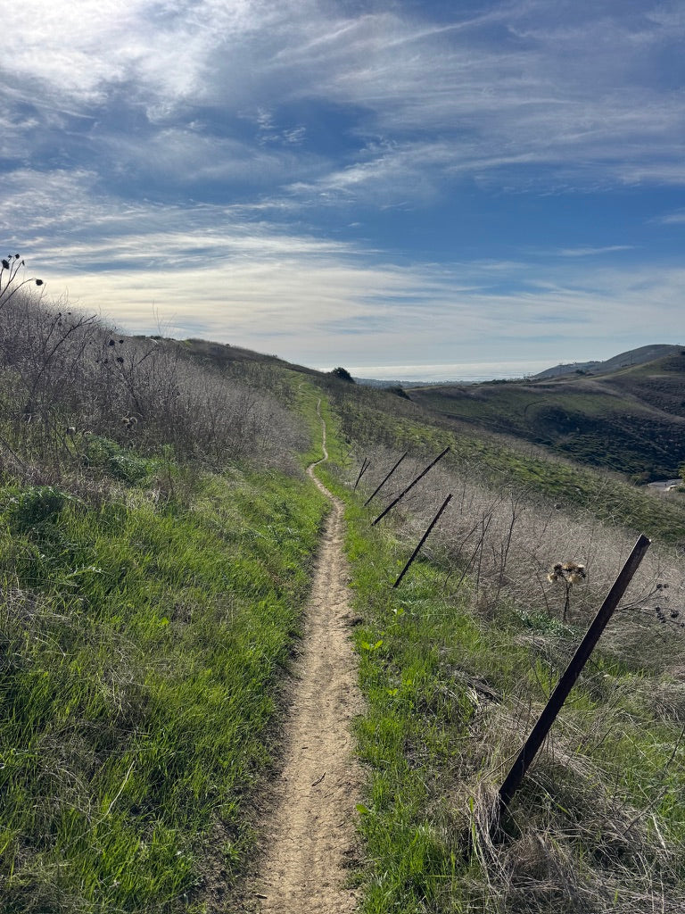 IS IT TOO LATE TO GO PRO?