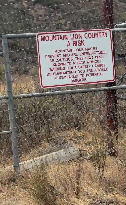 WHAT I LEARNED TRAINING WITH NO DATA ON MY COMPUTER