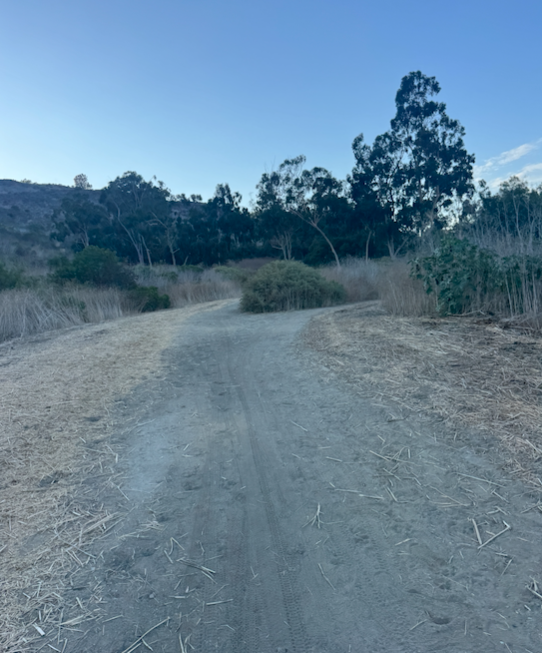 TIME TO DO SOME BAKING