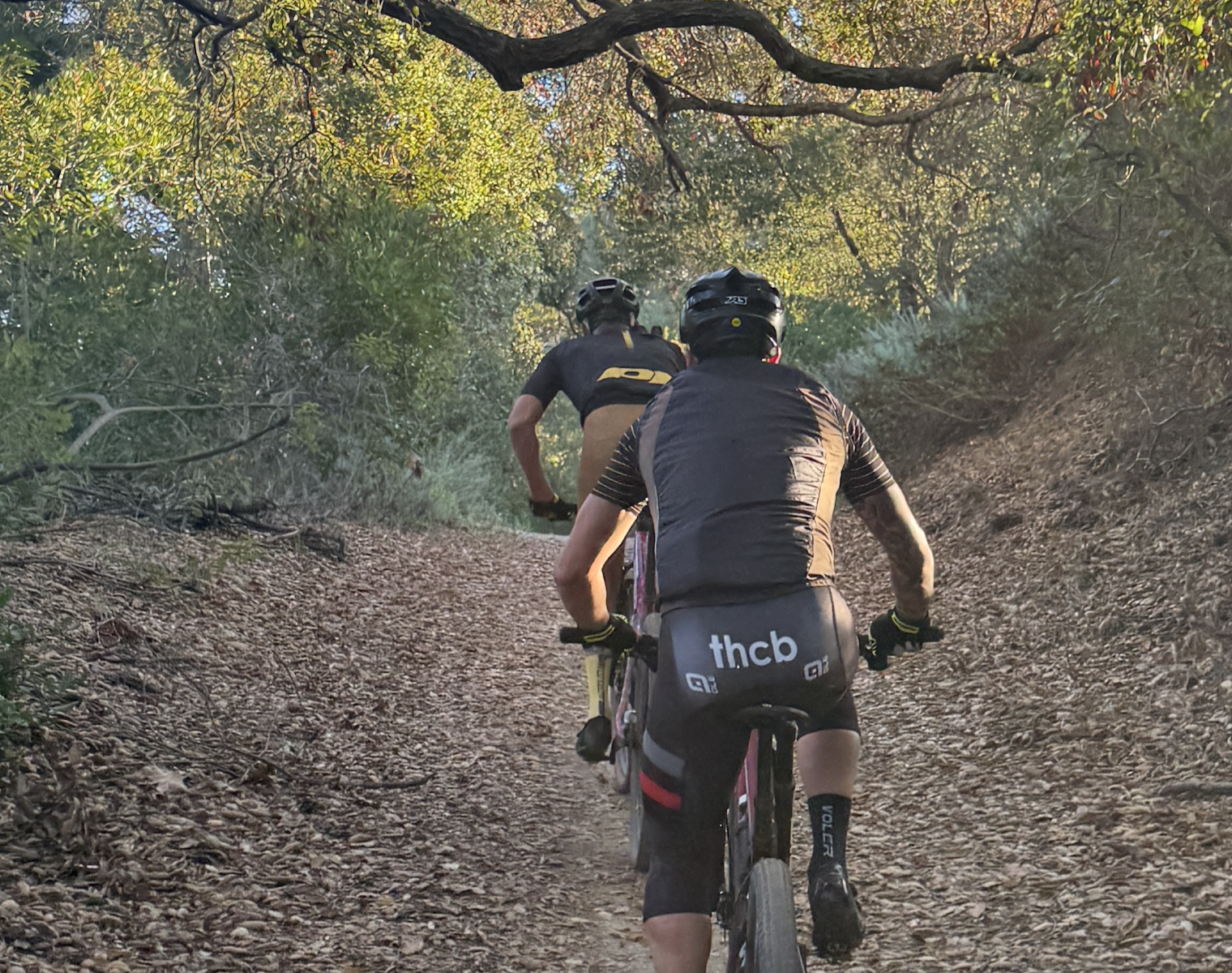 THE FOUNTAIN OF YOUTH