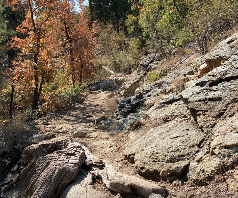 WE'RE NOT NERVOUS, WE'RE READY