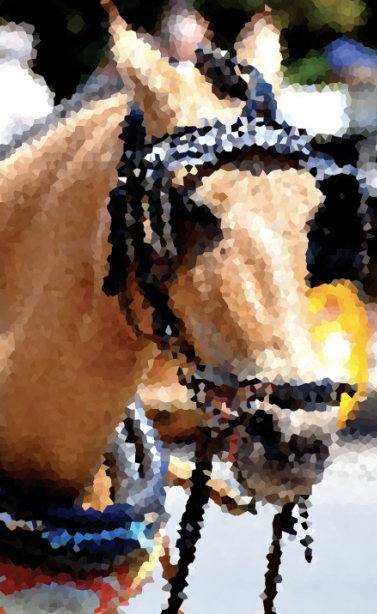 RACING WITH BLINDERS