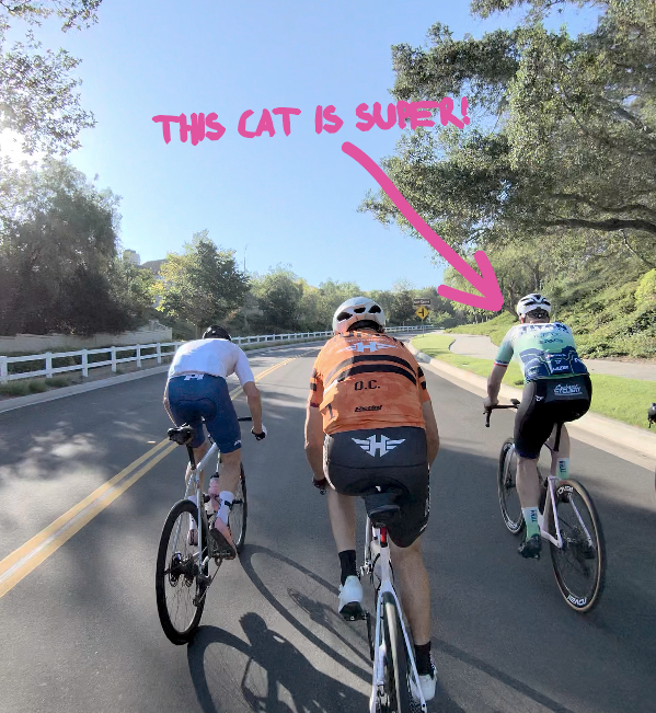 THIS IS 'A' SUPER COOL CAT