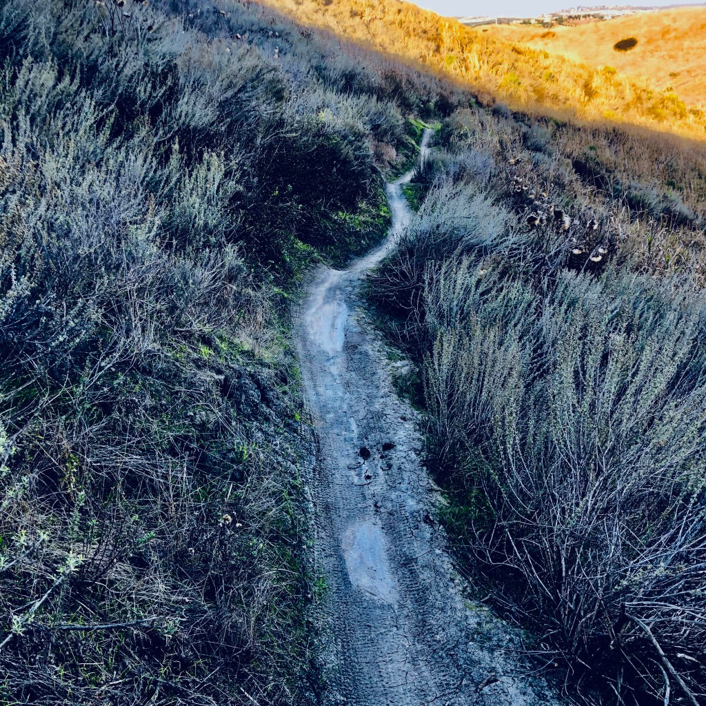 THE MOST RIDICULOUS BET I EVER MADE