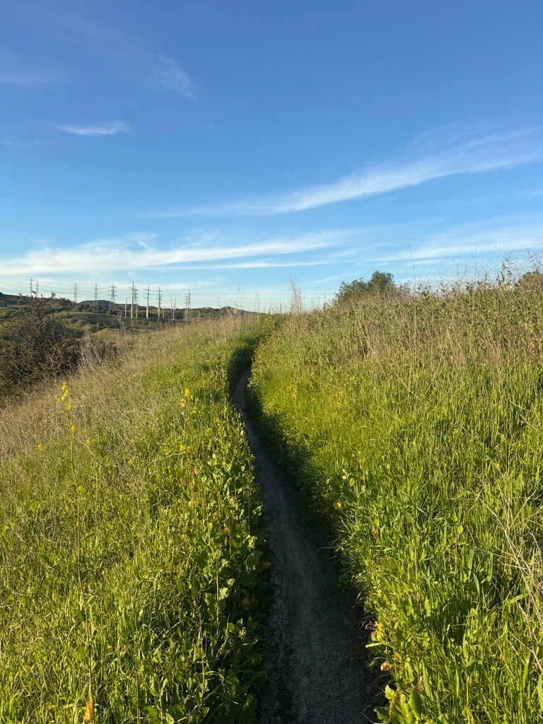 TO PRE-RUN OR NOT TO PRE-RUN IS NOT THE QUESTION