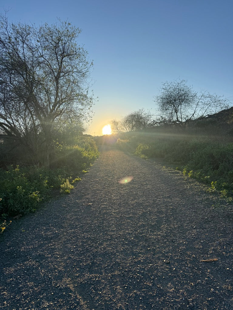 ARE WE JUST WARMING UP?