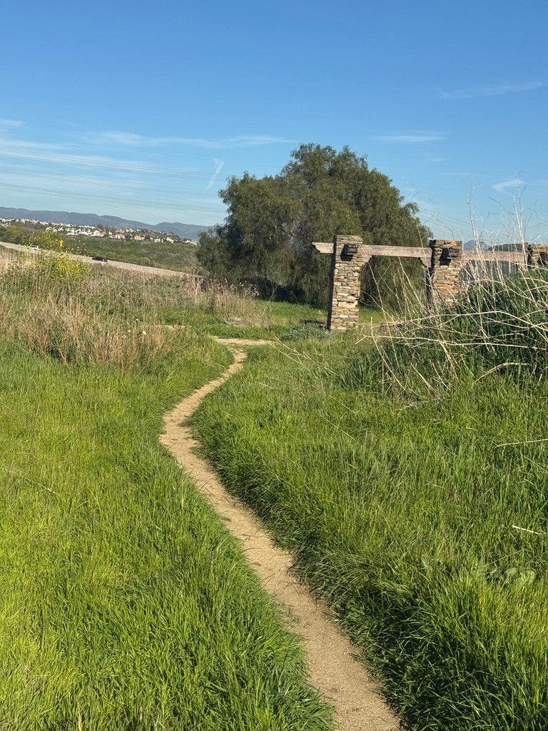 RIP ON RACEDAY FRIDAY DISPATCH: TRANSFORMATIONAL VOLUME