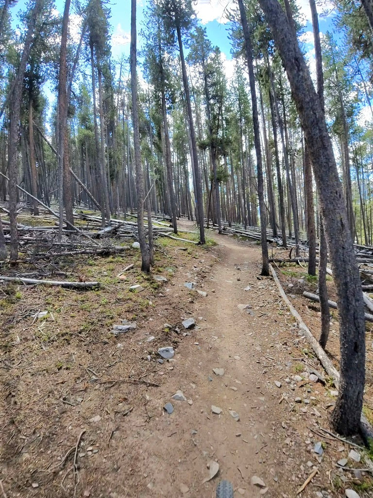 THERE ARE SOME DOOZIES OUT THERE