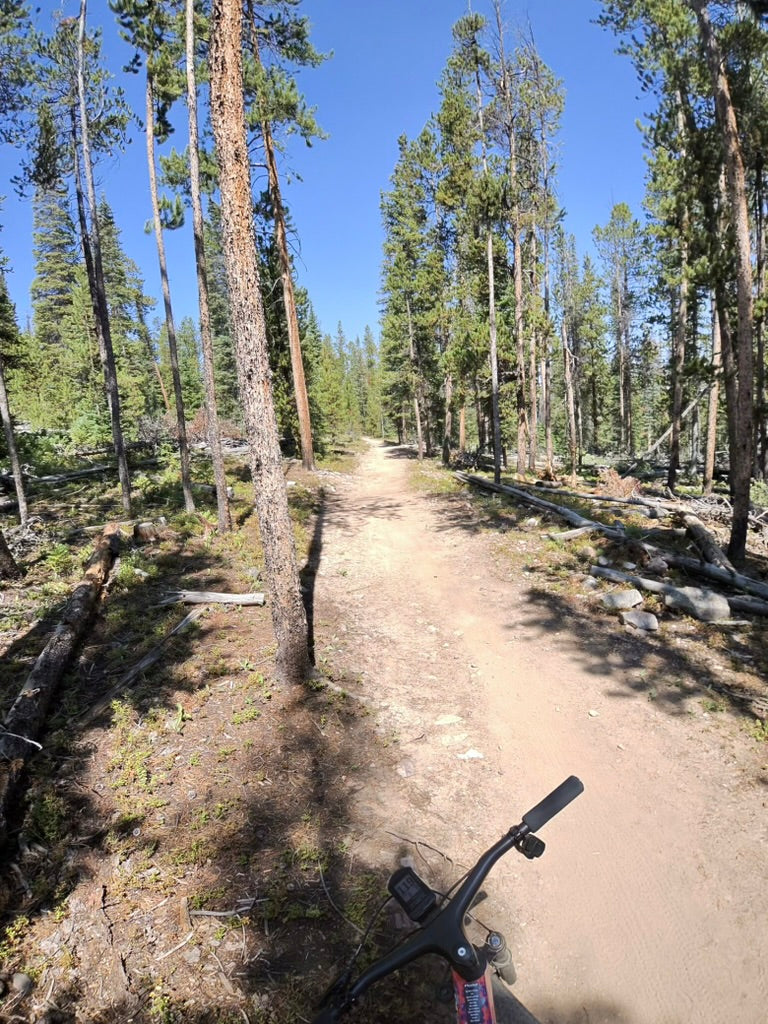 A LITTLE KNOWN BENEFIT OF ALTITUDE CAMPS