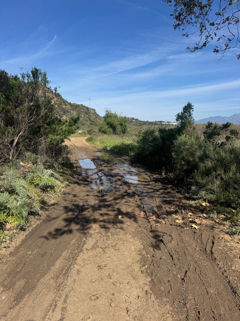 REVERSE ENGINEERING FTW