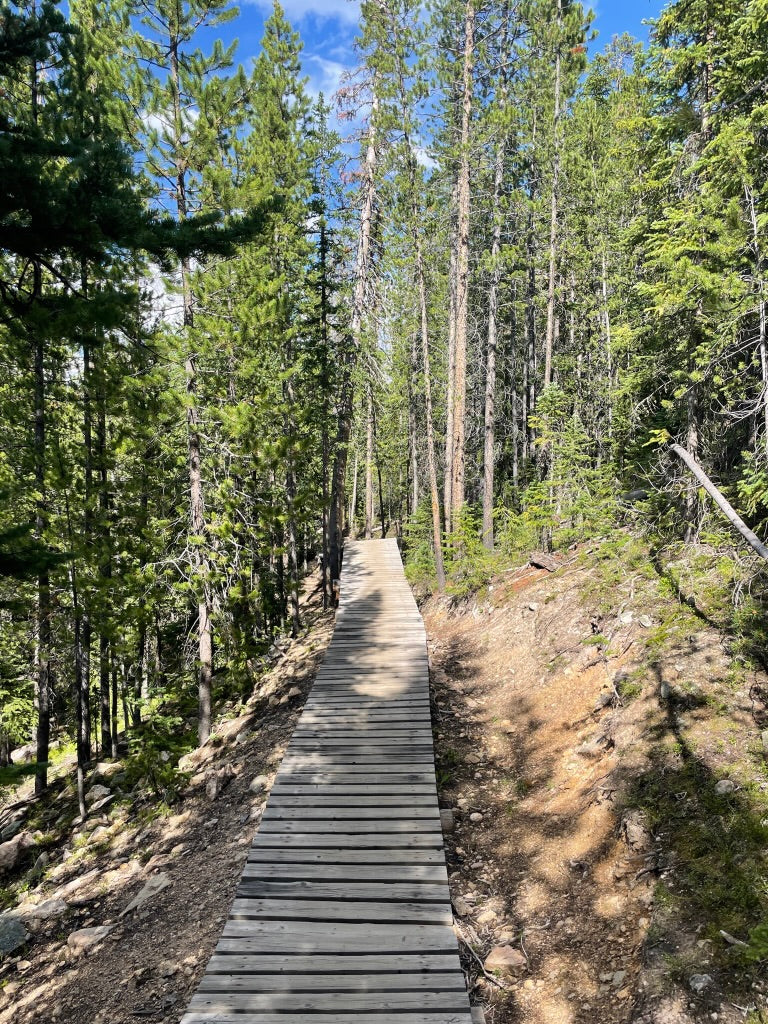 LOOKING BACK AT TRANSFORMATIONAL
