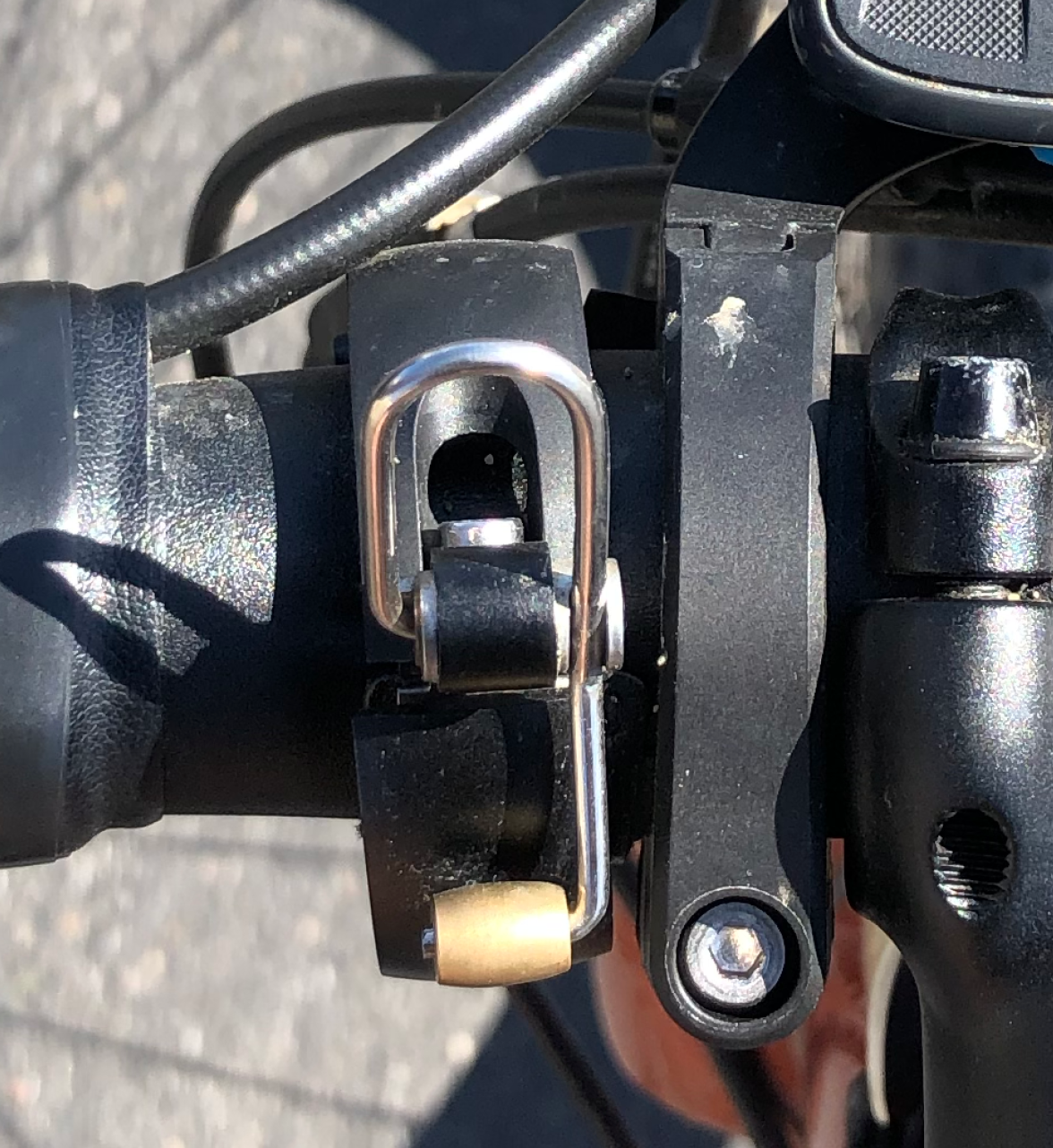 I THOUGHT IT WAS DINNER TIME