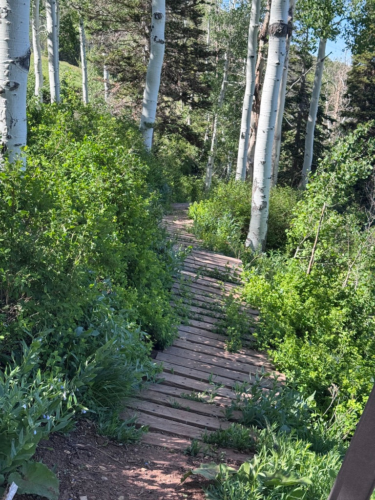 COOCOO FOR CLIMBING