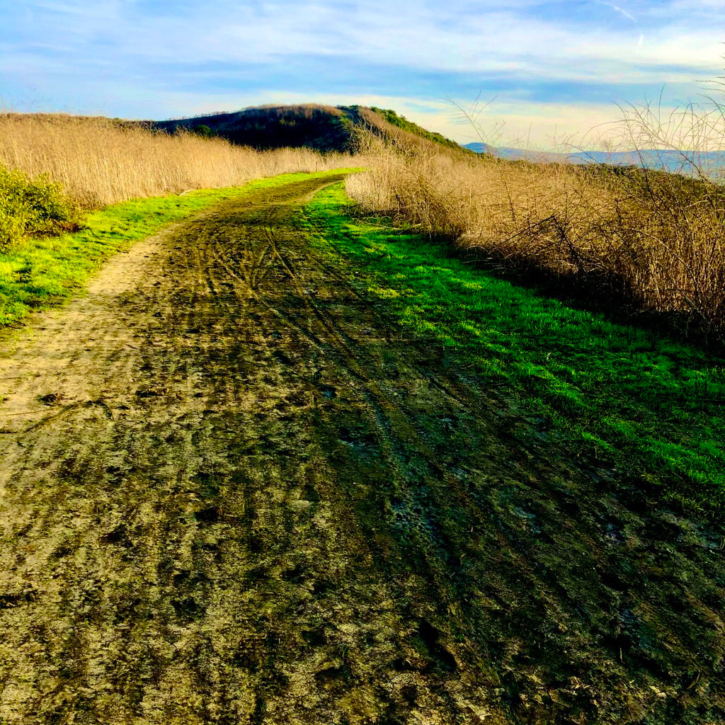 DRESSED FOR (FUTURE) SUCCESS