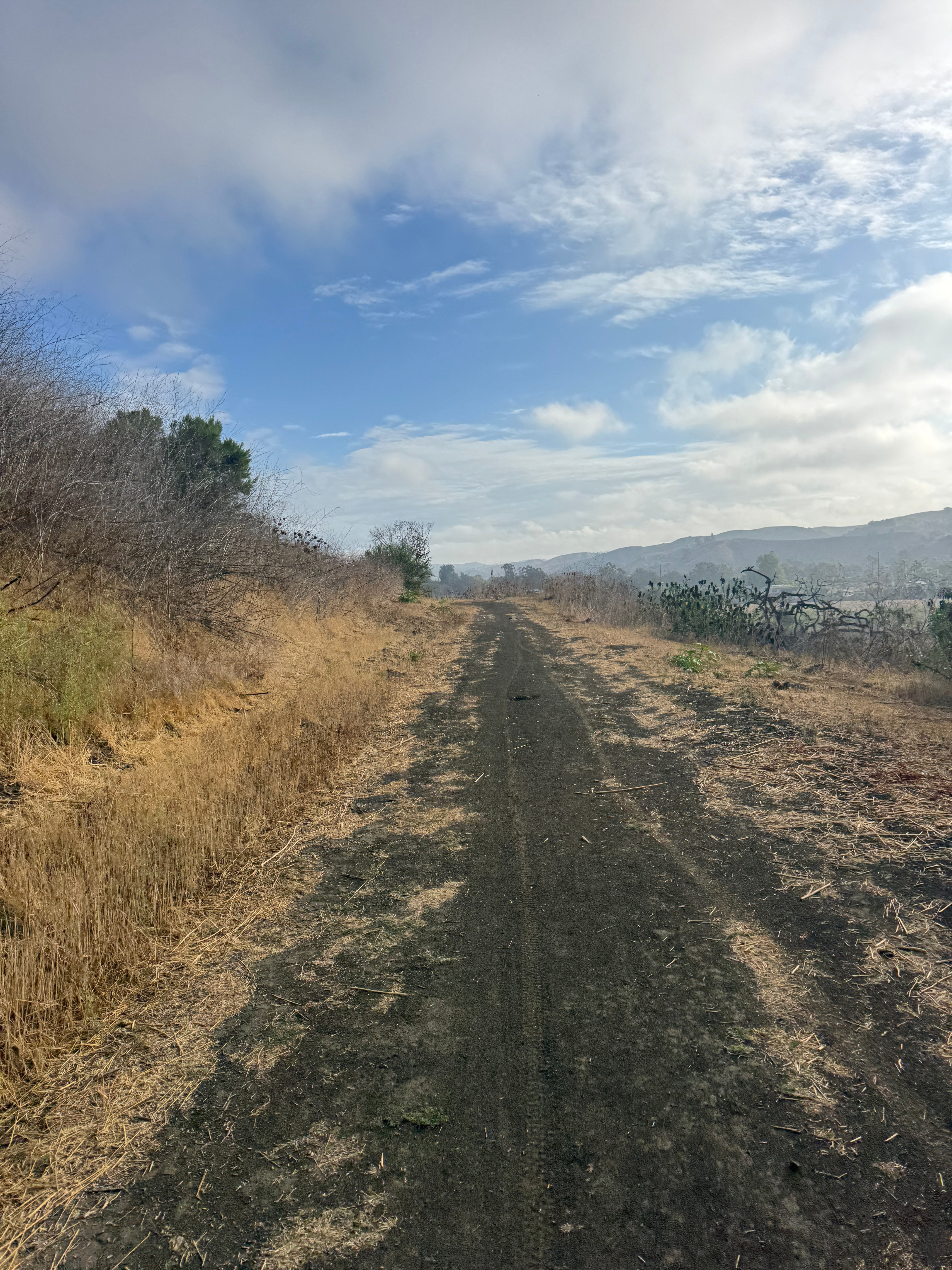 AN OFFSHOOT OF COMMITTED POLARIZED TRAINING