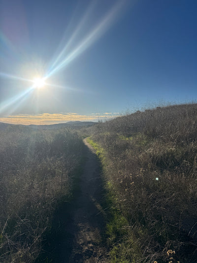 WHAT HAPPENS WHEN YOU SHOW A FRIEND AROUND TOWN?