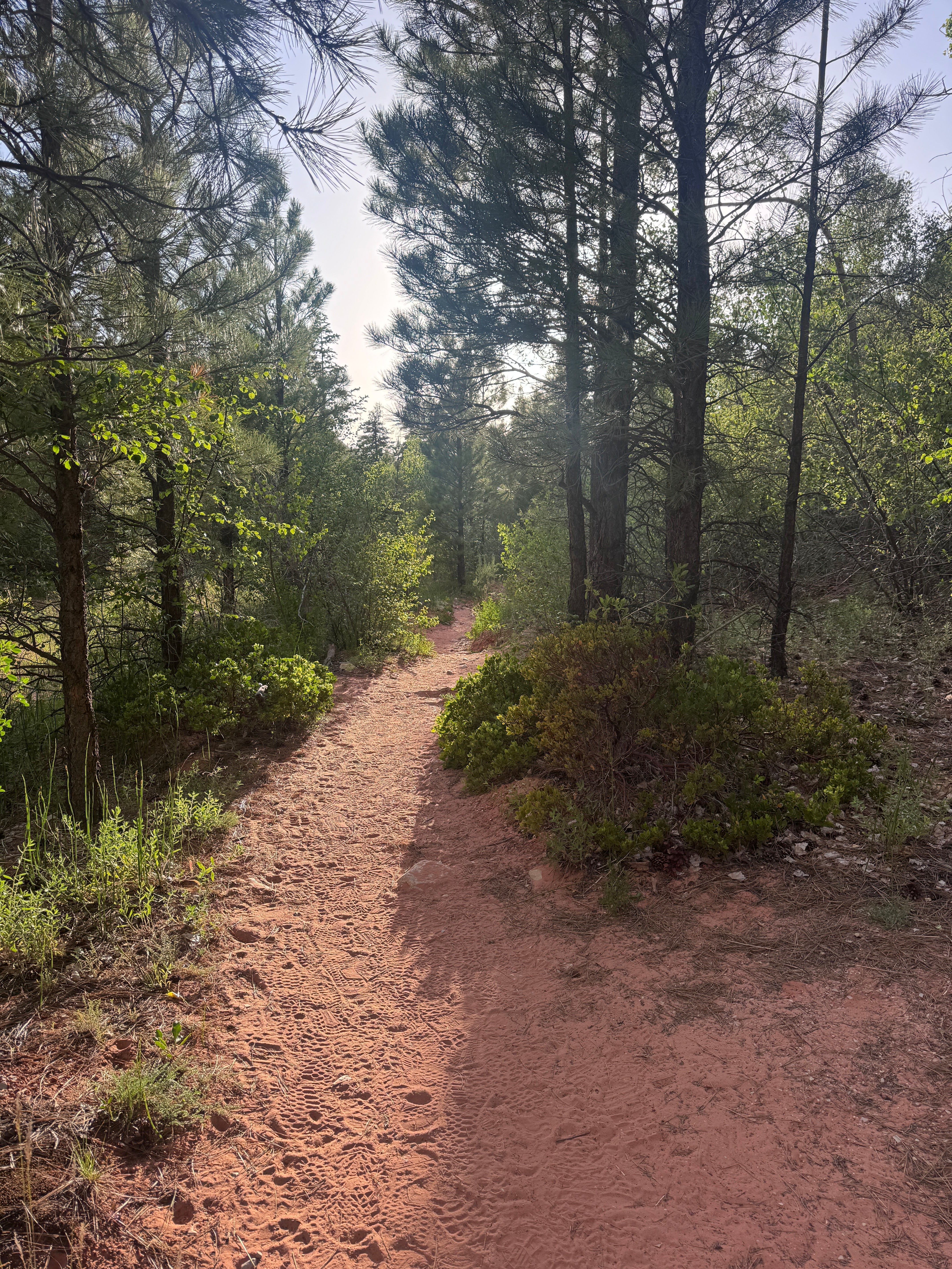 THE OTHER CROSSTRAINING