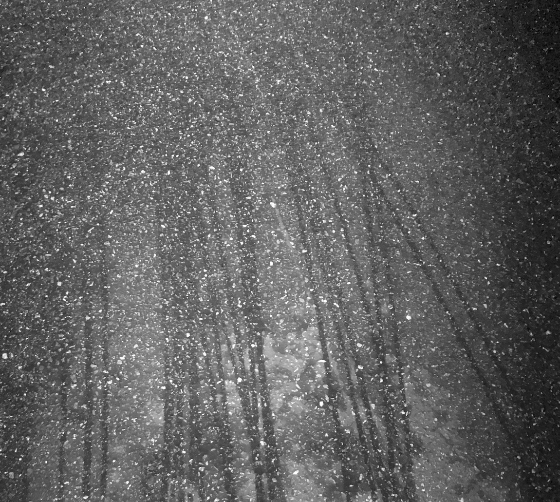 OPP (OTHER PEOPLE'S POWER)