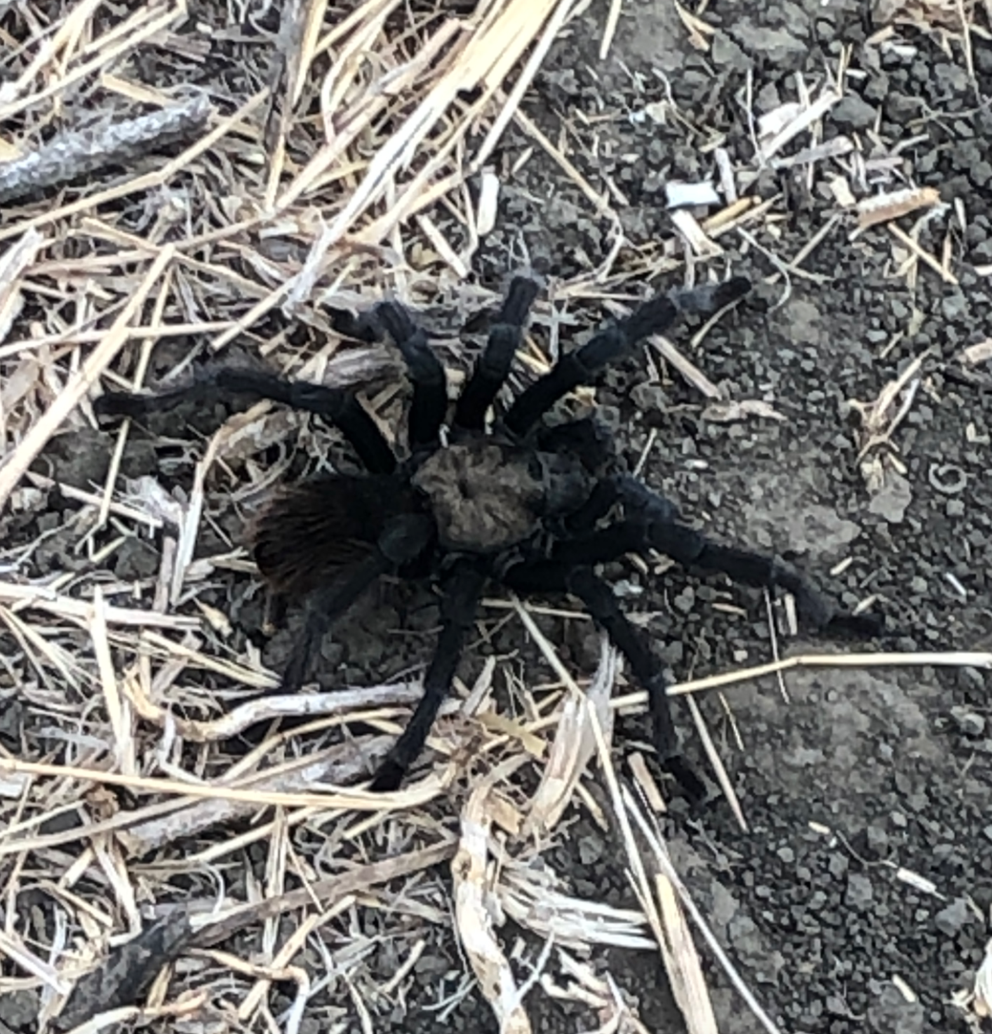 ADDING OR SUBTRACTING?