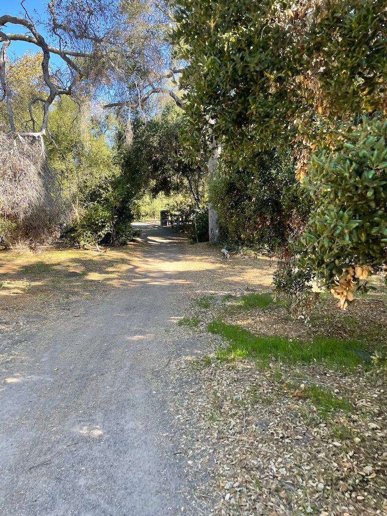 GRAVEL RIDES ARE SO DUMB...