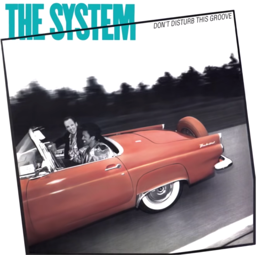 DON'T DISTURB THIS GROOVE