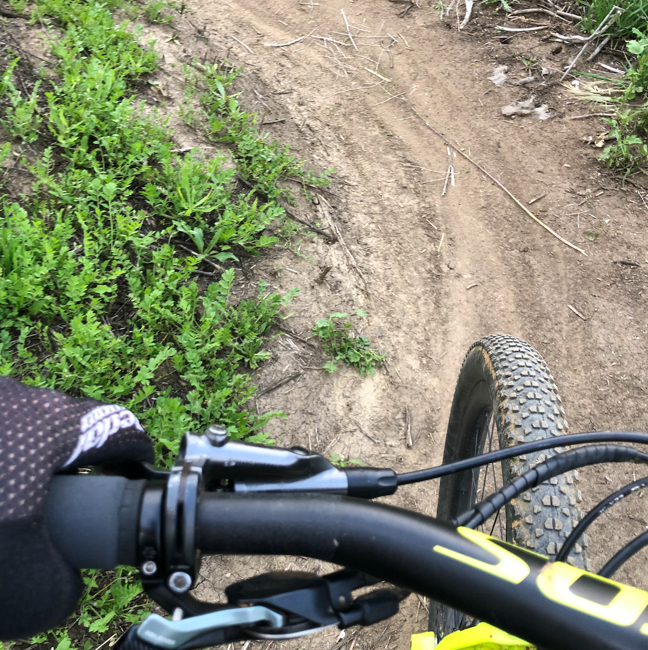 DIRTY SECRETS OF A CONFESSED ADULTERER