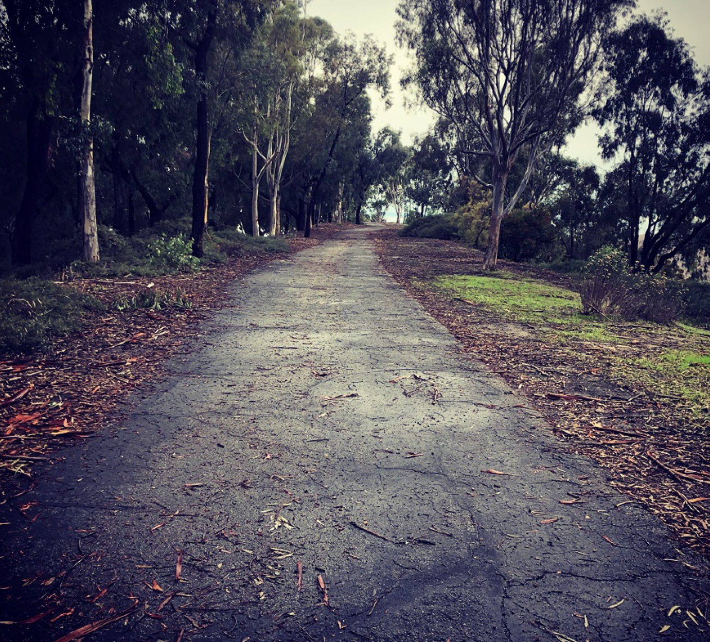 BIG FEAT, SMALL MILES