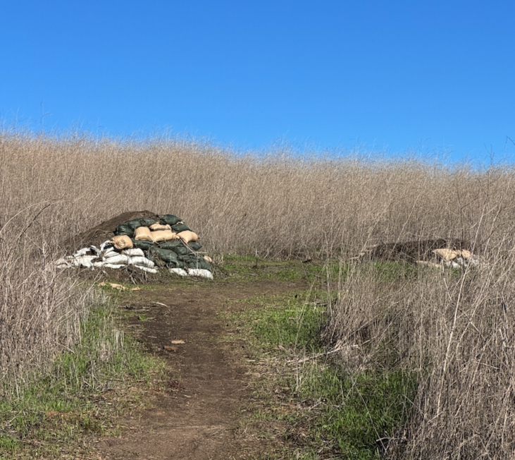 STRATEGY VS THE DREAM