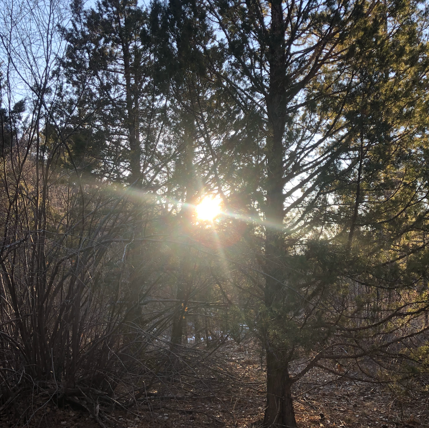 COMMANDMENTS FOR SPEED