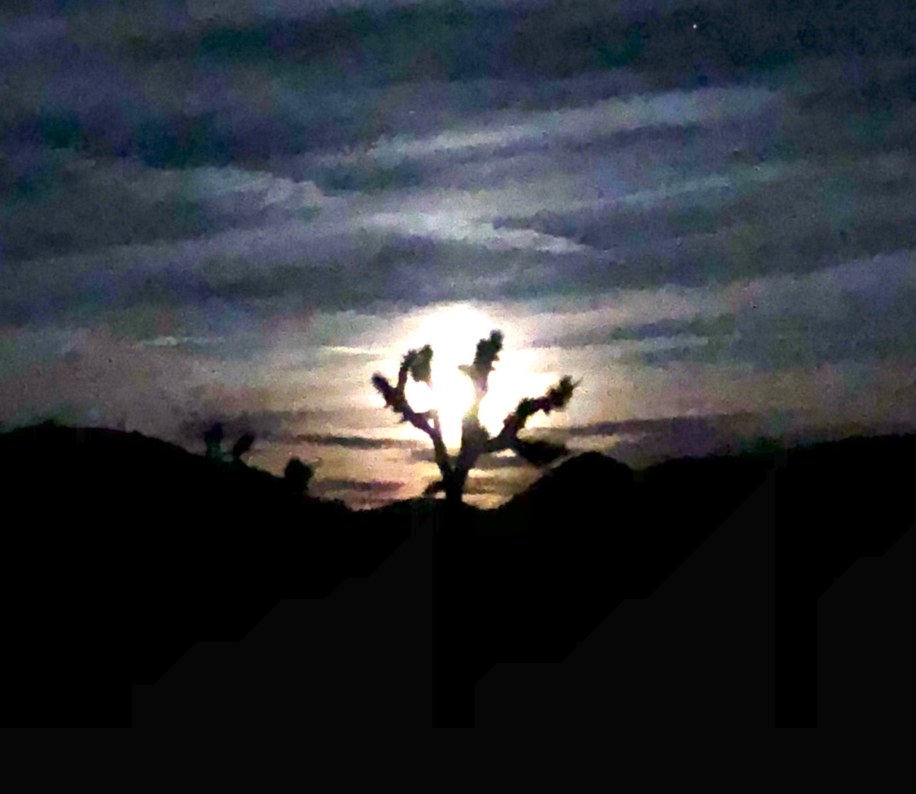 HAVE TRAVEL, WILL BIKE