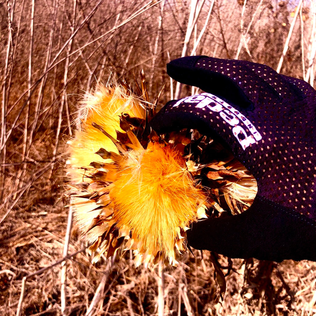 TOP 6 REASONS NOT TO BE A BIKE COMMUTER