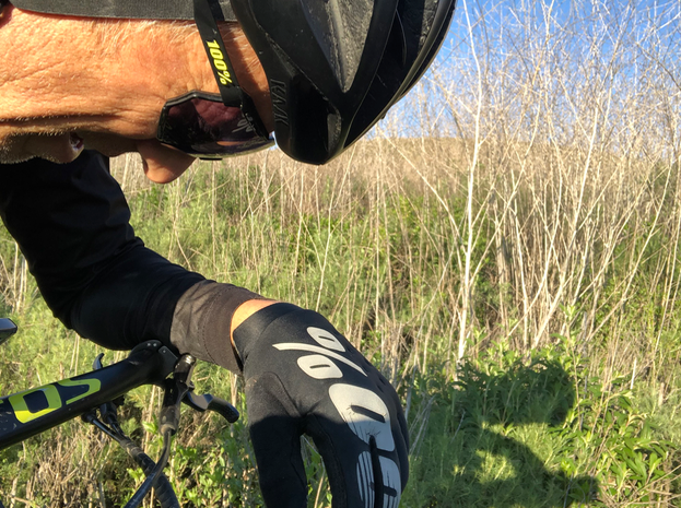 I NEEDED A DAY LIKE TODAY