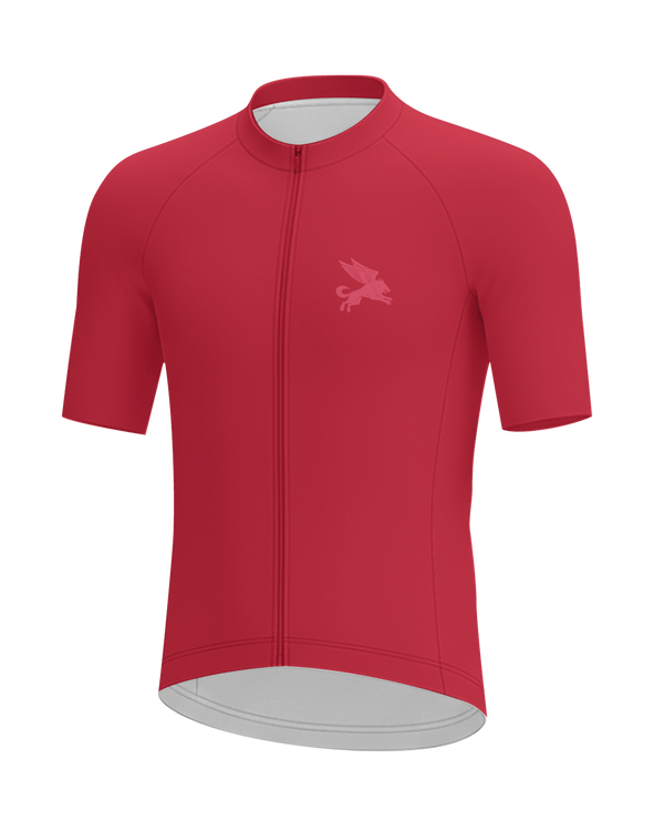 Crimson Red Cypress Spirits MEN'S PRO JERSEY ISD