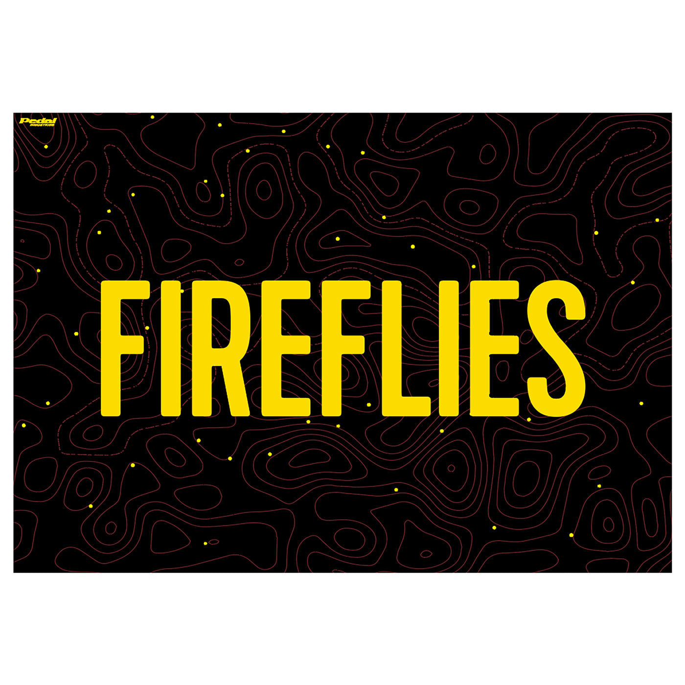 Fireflies 2024 Back Wall 10 x 10