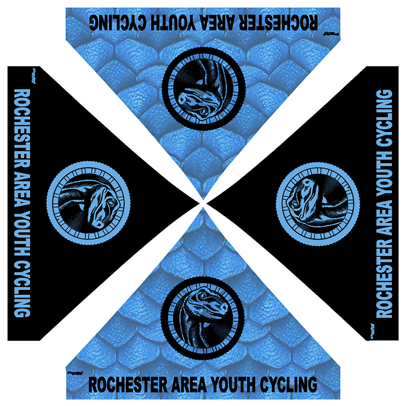 Um Rochester Raptors Rochester Raptors 2024 CANOPY – PEDAL Industries