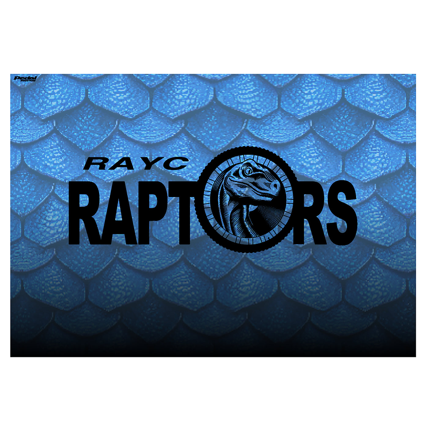 Um Rochester Raptors Rochester Raptors 2024 Back Wall 10 x 10 – PEDAL Industries