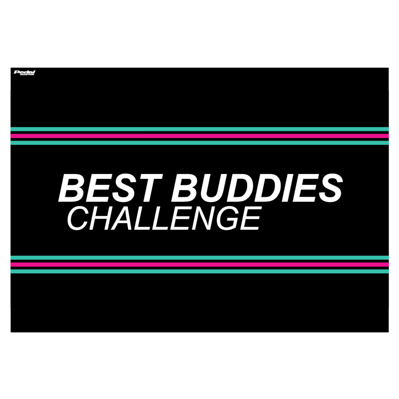 Best Buddies 2025 Back Wall (only) 10 x 10