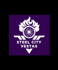 Steel City Vestas 2026 ID Sticker Bikes & Gear PURPLE